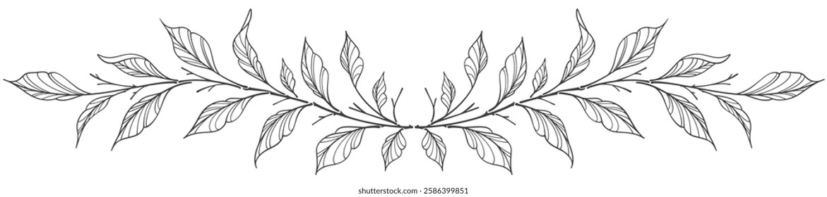 Line art floral botanical on transparent background vector. floral, leaves, foliage, branches in hand drawn. Floral element design