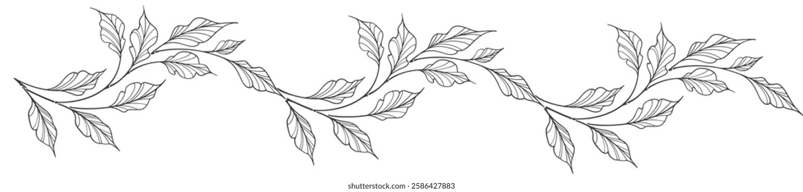 Line art floral botanical on transparent background vector. floral, leaves, foliage, branches in hand drawn. Floral element design