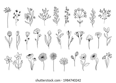 Line Art Floral Elements Outline Foliage Stock Vector (Royalty Free ...