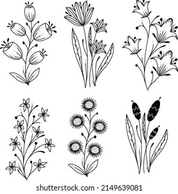 Line Art Floral Illustration Set Beautiful Natural Template