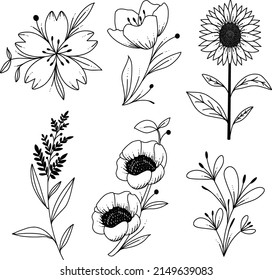 Line Art Floral Illustration Set Beautiful Natural Template