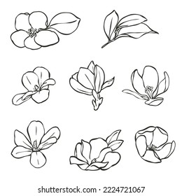 Line art flower and abstract wallpaper collection, separate into single flowers, This collection is great for making invitation card, logos or printed on the shirt, canvas bag and many more.