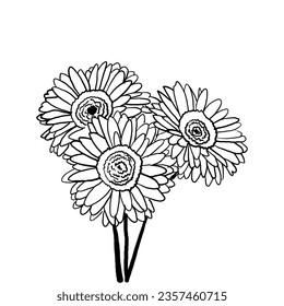 Line art of flower in black and white outline