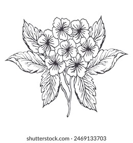 Line art of a flower hydrangea bouquet. The flowers are arranged in a way that makes them look like. Scene is elegant and sophisticated