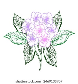 Line art of a flower hydrangea bouquet. The flowers are arranged in a way that makes them look like they are in a vase. Scene is elegant and sophisticated