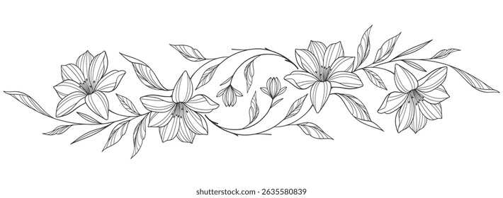 Line art  Flower illustration. flower drawings. Black and white with line art on white backgrounds. Hand Drawn Botanical Illustrations.Vector