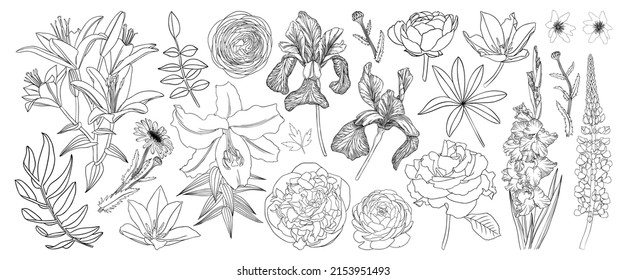 Colección de ilustraciones de flores de arte de línea. Elegante trazado de líneas de flores primaverales y veraniegas. Plantas de jardín hechas a mano.  contorno floral - blanco y negro. Arte de línea de tulipanes para una boda o diseño de marca