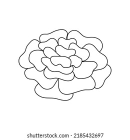 Line Art Flower and Plants. Aesthetic Hand Drawn Design Elements 