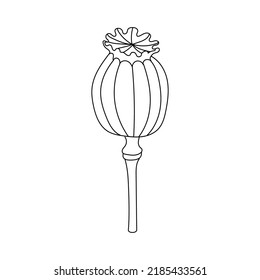 Line Art Flower and Plants. Aesthetic Hand Drawn Design Elements 