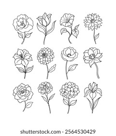 Line Art Flower Vector Illustration Set.