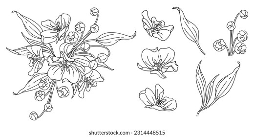 Line art flowers, Black linear set of flower, Hand painted bunch of flowers, flower and leaves isolated on white background, Floral illustration for design, Vector image.