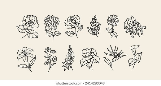 Line art flowers. Camellia, hydrangea, rose, lilacs, zinnia, ylang-ylang, lily, forget-me-not, lupine, begonia, strelitzia, calla lily