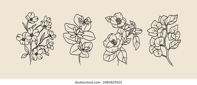 Line art flowers collection. Botanical illustration