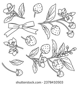 Line art flowers collection, Floral, strawberry and ribbon element for invitation, wedding or greeting cards, Flower and leaves isolated on white background, Vector illustration.