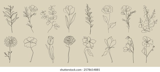 Line art of flowers, featuring delicate floral sketches. These flower illustrations showcase elegant line art and intricate floral designs. Doodle illustrations, vector set.