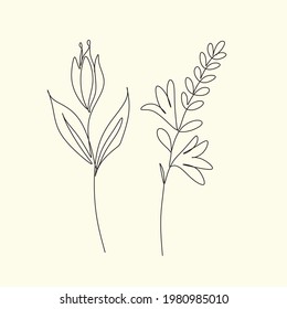 Line art flowers and herbs isolated on white background. Hand drawn sketch flowers and insects. botanical line drawings