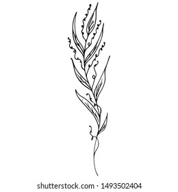 Line art flowers outline icon in hand drawn style. Vintage floral icon, great design for any purposes. Black flowers on white background. Ink line drawn tropical leaves.