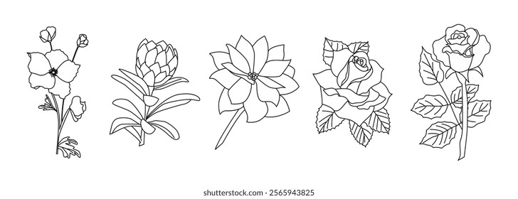 Line art flowers set. Nature floral, botany design vector illustration.