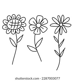 Line art of flowers white background