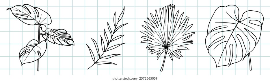 Line art of four leaves on graph paper. Includes monstera, palm, and fern leaves. Simple leaf designs in black and white. Minimalist leaf illustrations. Botanical doodle vector set.