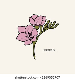 Line art freesia flower drawing