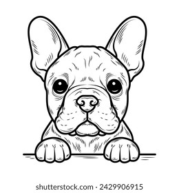 Line art French bulldog illustration. Ink style, cute animal for print. Vector linear silhouette. Transparent fill, black lines. Isolated on white background