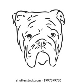 Line art of french bulldog with three difference of face