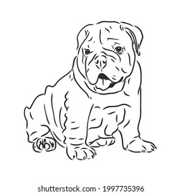 Line art of french bulldog with three difference of face
