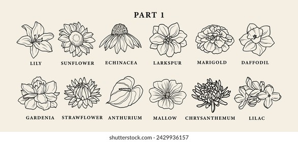 Line art garden flowers collection