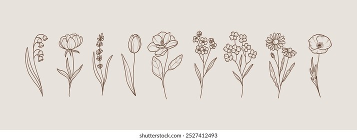 Line art garden flowers. Lily of the valley, peony, lavender, tulip, magnolia, forget-me-not, dogwood, chamomile, poppy