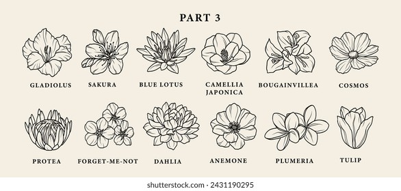 Line art garden flowers set. Botanical illustration