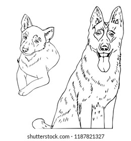 Line art of a german shepherd dog and a puppy. Vector illustration.