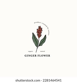 Line art ginger flower drawing