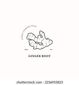 Line art ginger root illustration