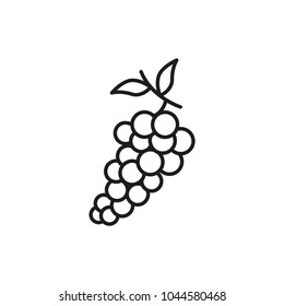 line art of grape, grape vector icon 