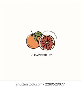 Line art grapefruit branch drawing