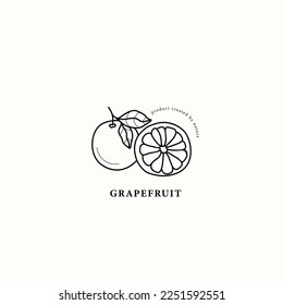 Line art grapefruit branch illustration