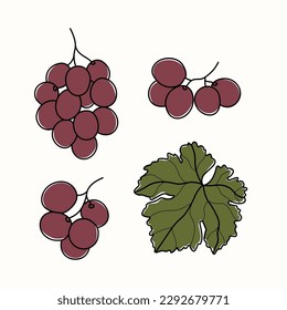 Line art grapes branches drawing