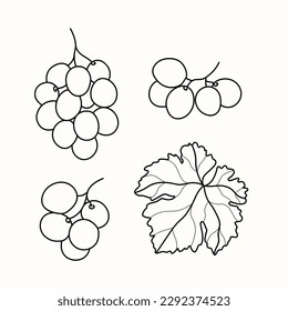 Line art grapes branches illustration