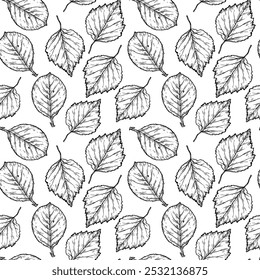 Line art graphic pattern with leaves of Black and white background