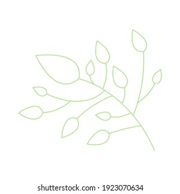 Line art green leaf, herbal element. Stock illustration isolated on white background. Can be used as an isolated sign, symbol, icon, for organic products. Spring botanical plant vector illustration.