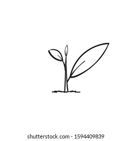 Line art growing sprout plant with hand drawn doodle style