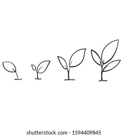 Line art growing sprout plant with hand drawn doodle style