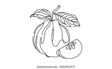 Line art Guavas fruit silhouette vector graphic, white background.