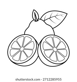 Die Linienkunst der halbgeschliffenen Limettenfrucht