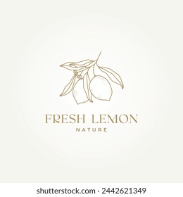 line art hand draw of lemon tree brunch icon logo vector illustration design