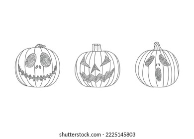 Line art hand drawing pumpkin, Minimalist black line sketch isolated on white background, Vector illustration