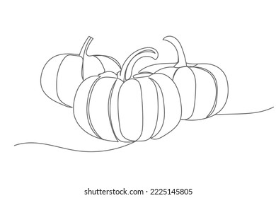 Line art hand drawing pumpkin, Minimalist black line sketch isolated on white background, Vector illustration
