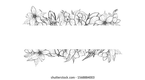 Line art hand drawn black floral banner with isolated on white background. Healing herbs for cards, frame, wedding invitation, posters, save the date or greeting design. Monochrome vector illustration