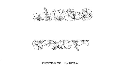 Line art hand drawn black floral banner with isolated on white background. Healing herbs for cards, frame, wedding invitation, posters, save the date or greeting design. Monochrome vector illustration